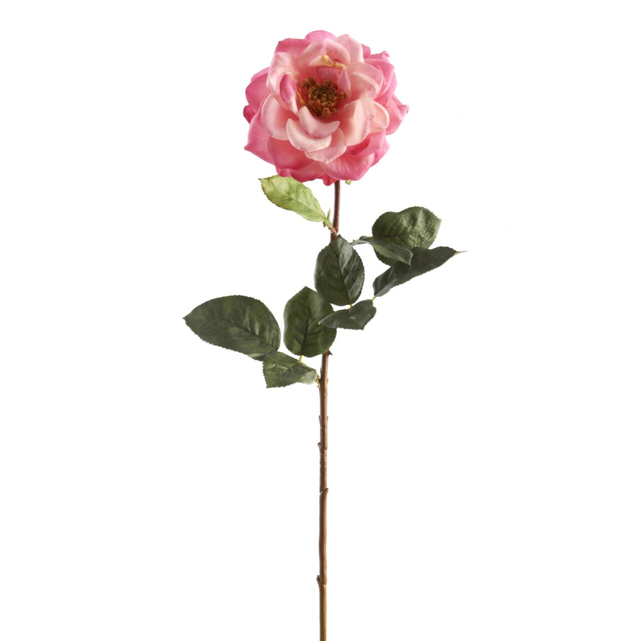 Garden Bloom Orlane Rose Stem Ashland&#x2122;